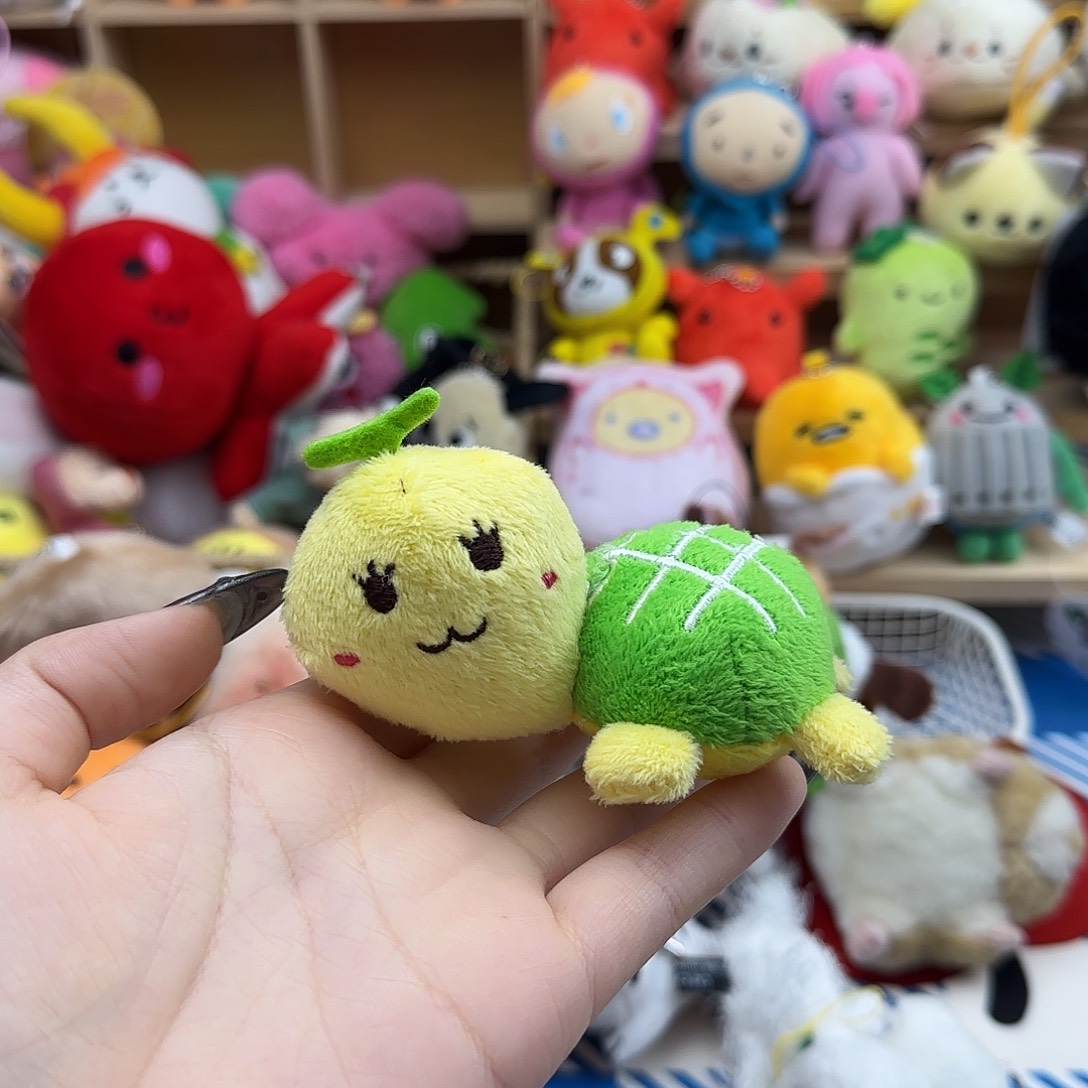 毛绒满30包邮非偏远不退不换-蜜瓜龟