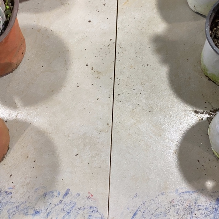 细***霜细雨的肉肉预付米
