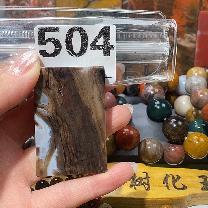 硅化玉未镶嵌天然北票树化玉吊坠