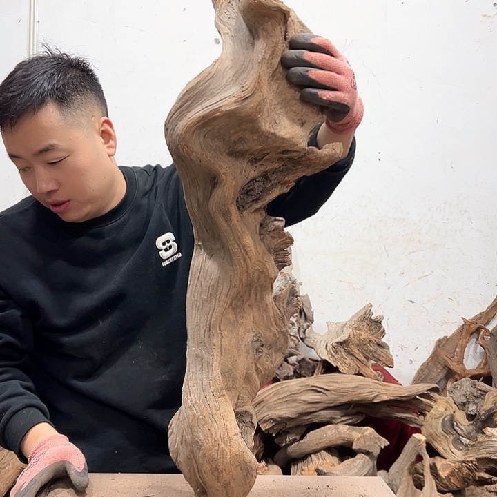 柏木一*我们的生活也是如此的丰富