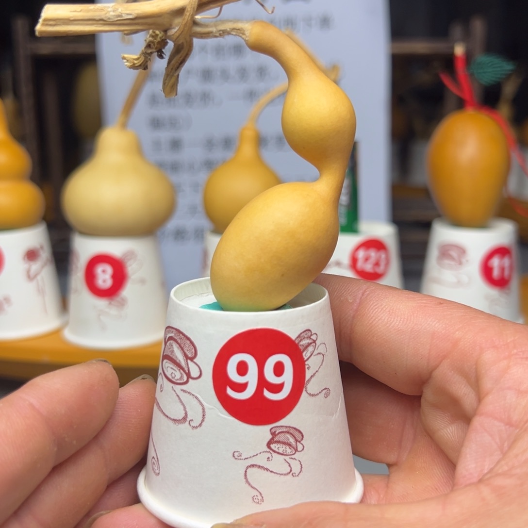 闪电购自助下单编号99