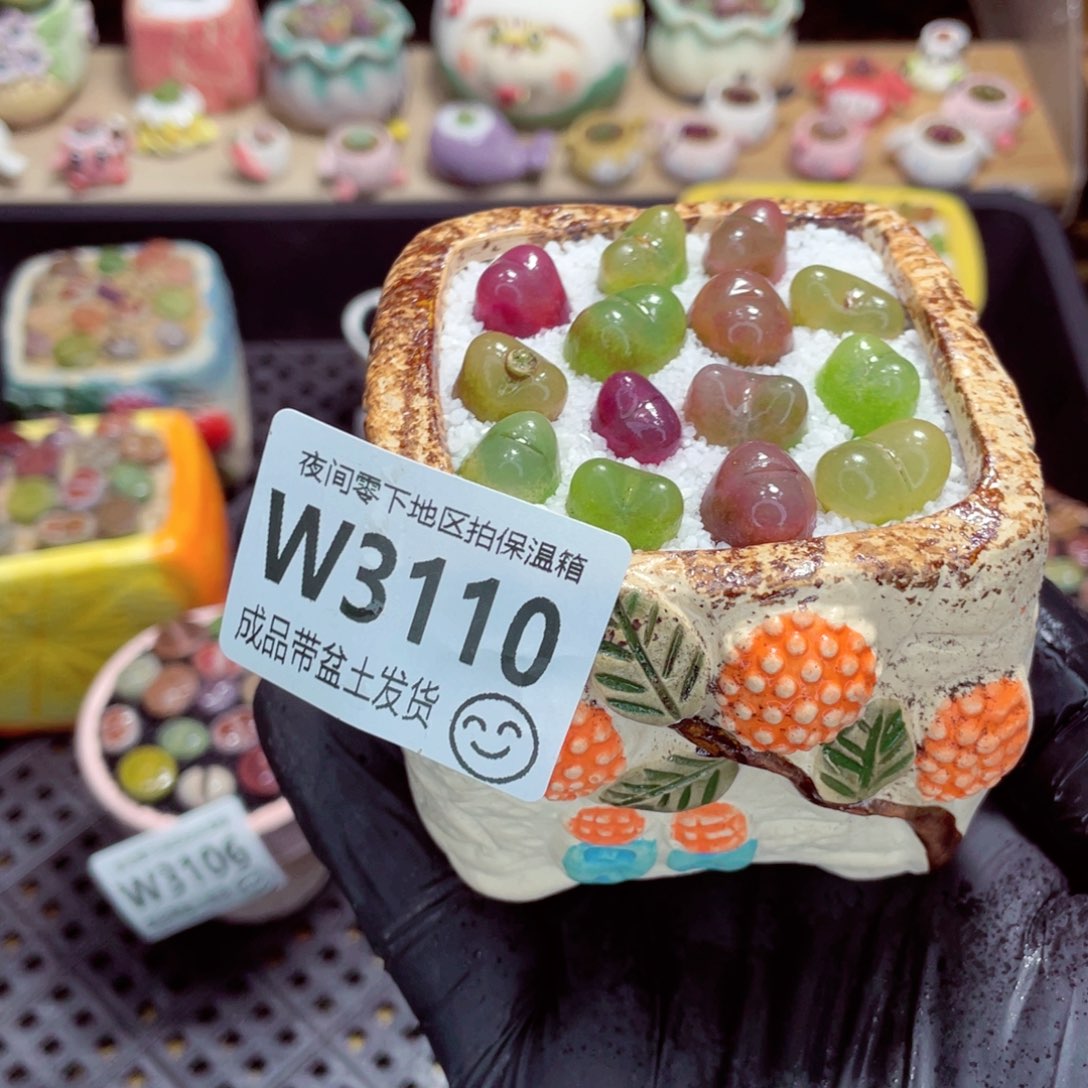 夜间零下地区拍保温箱w3110