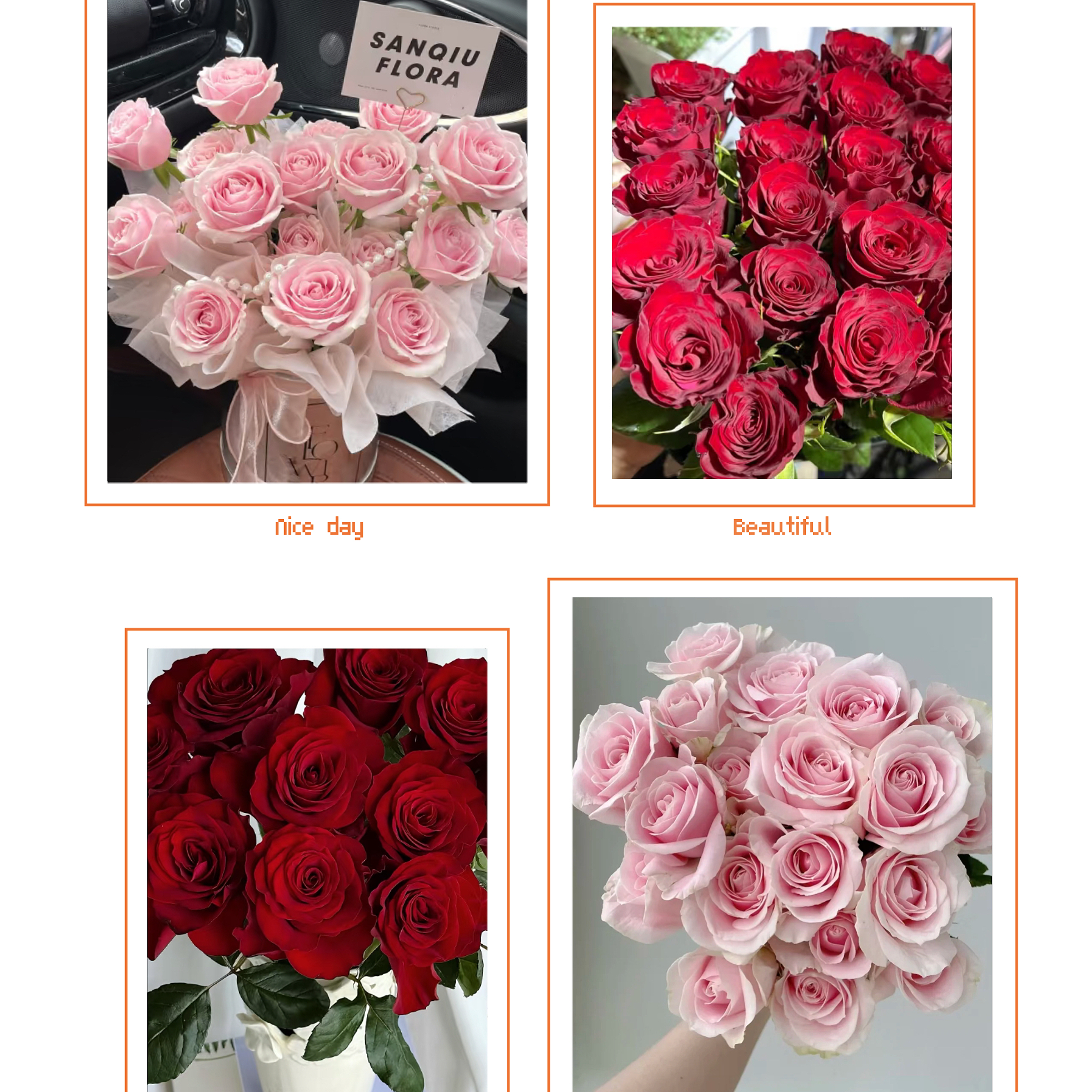 【粉雪山+红玫瑰】 同地址任意拍2单冷链送货上门