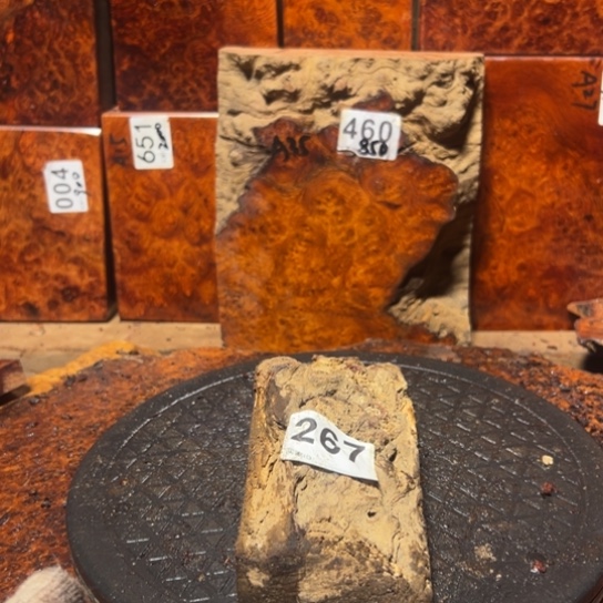 大果紫檀（缅甸花梨）