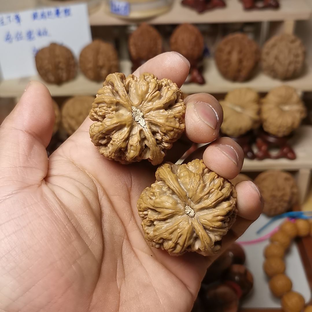 核桃文玩核桃大粗筋全品