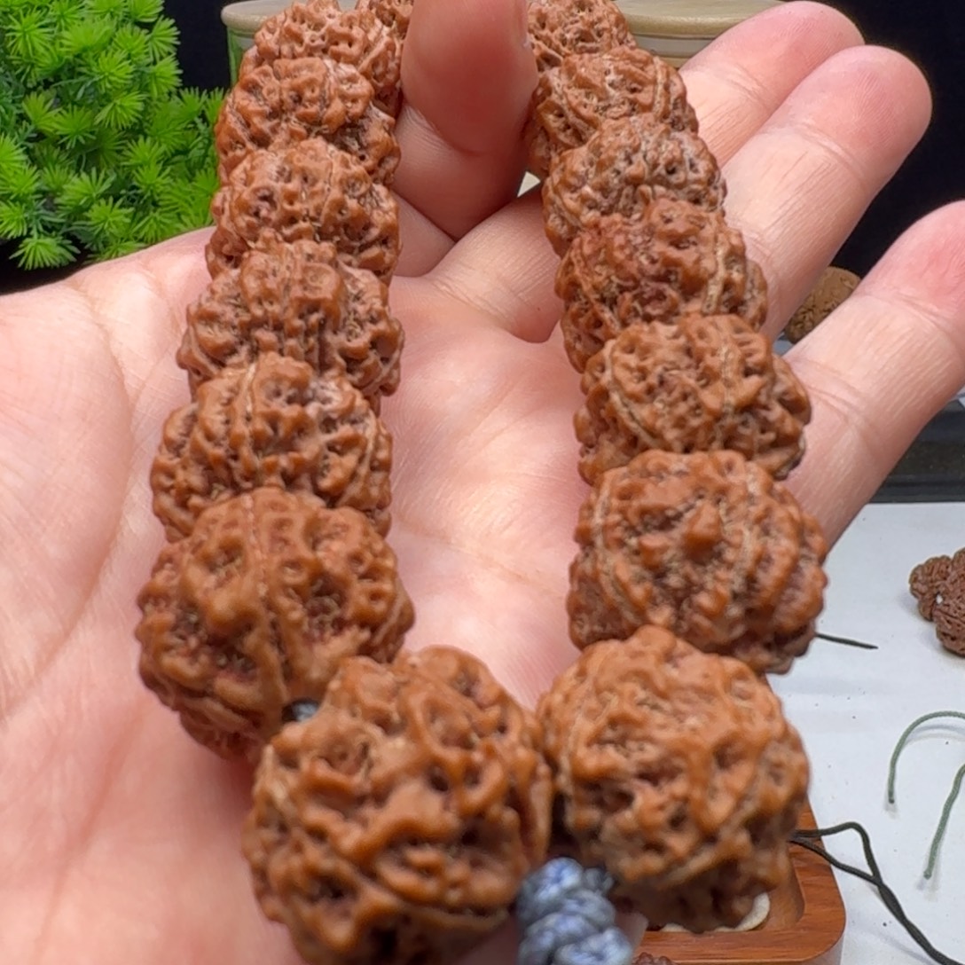 金刚菩提手串五星蜂王籽