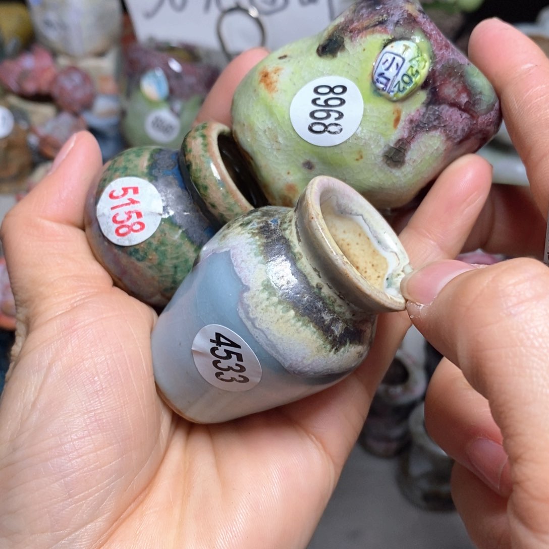 吃***菜花盆拍5送一个小礼物8968中奖