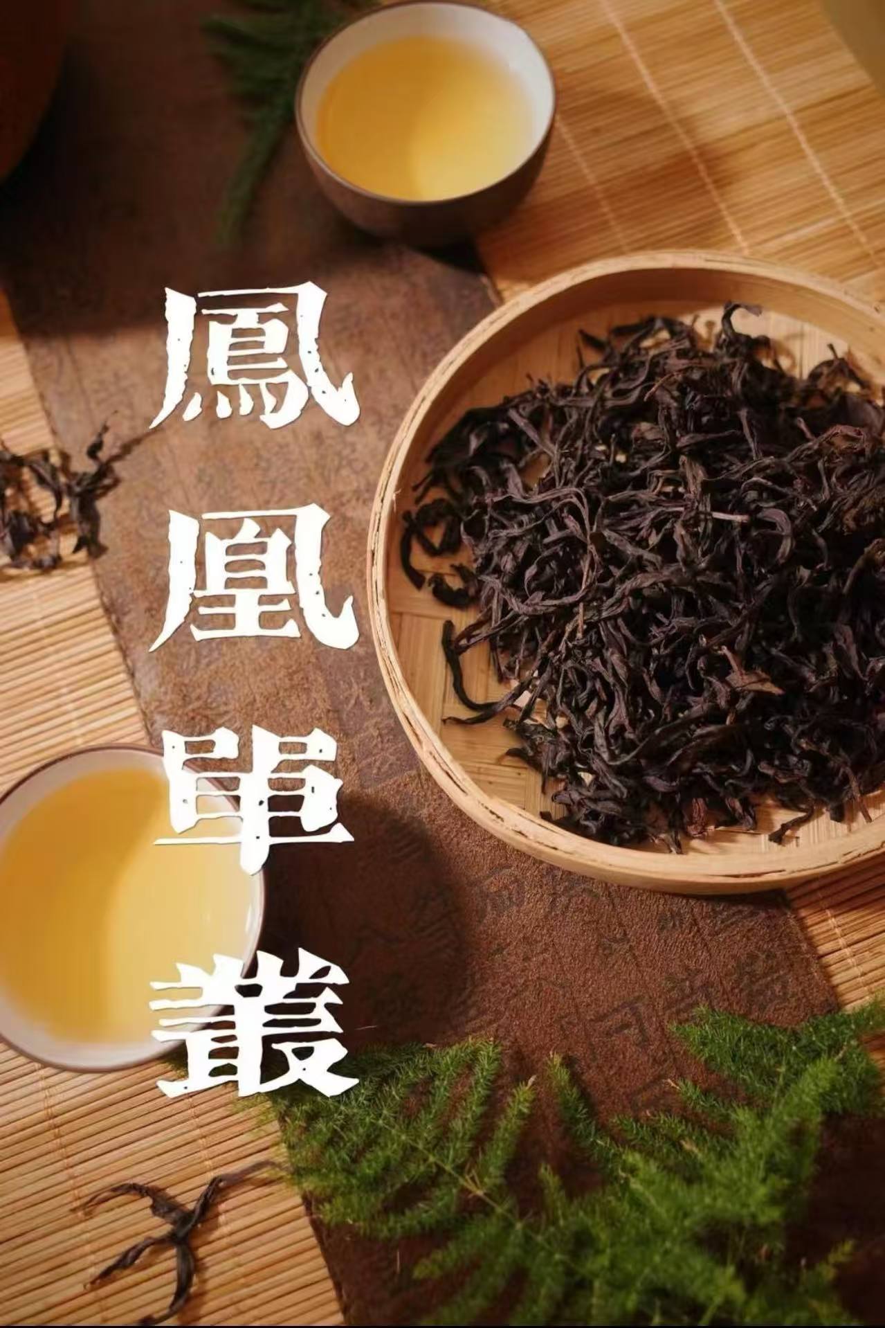 【杏仁香锯朵仔】 天然独特杏仁香气 喉底回甘 力头好