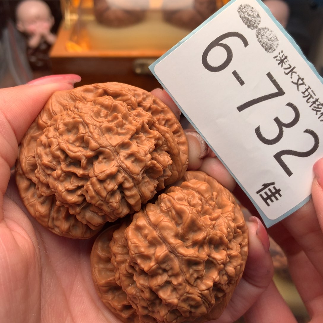 文玩核桃把件50官帽 