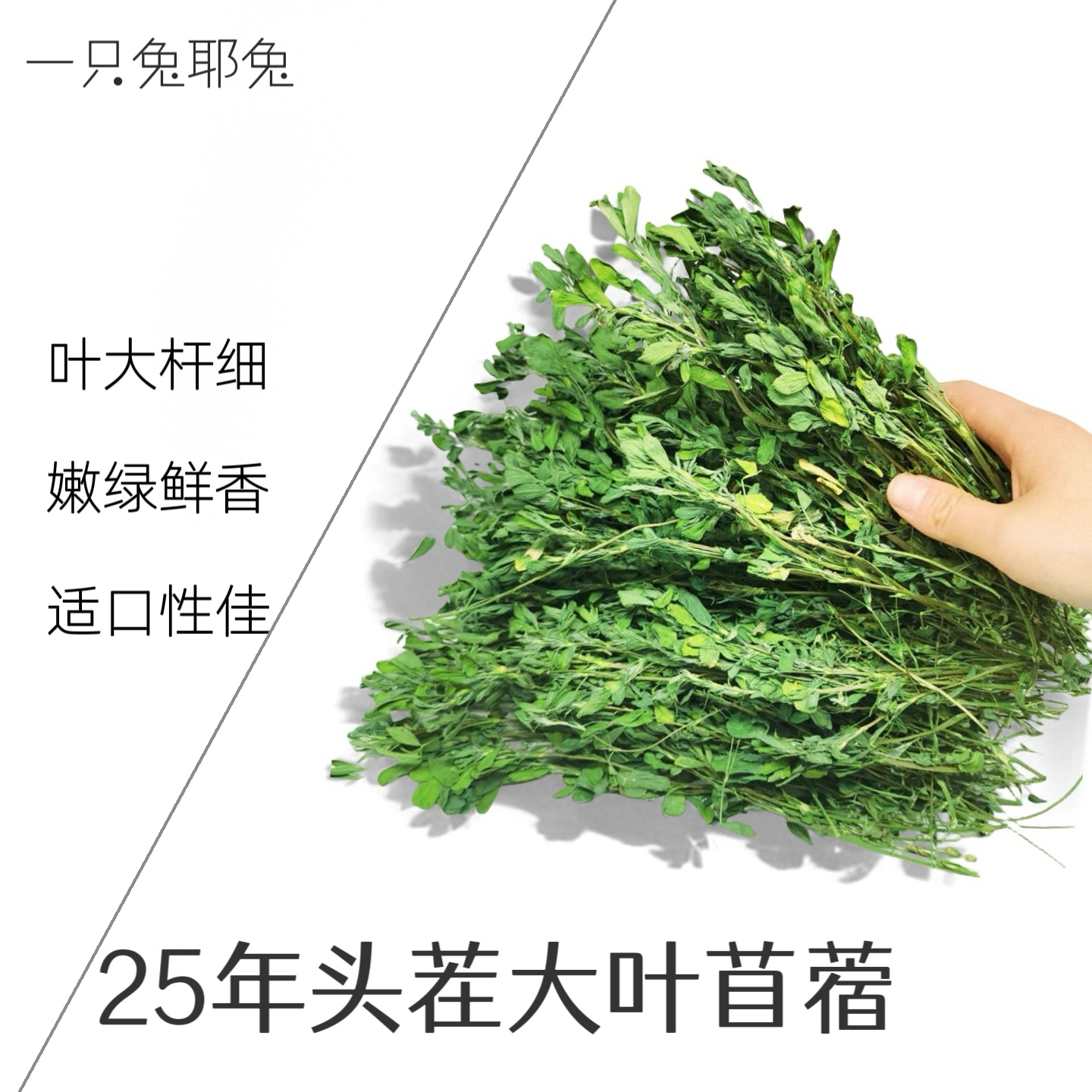 一只兔耶兔25年新紫花苜蓿草烘干干草幼兔龙猫猪食用牧草兔子饲料