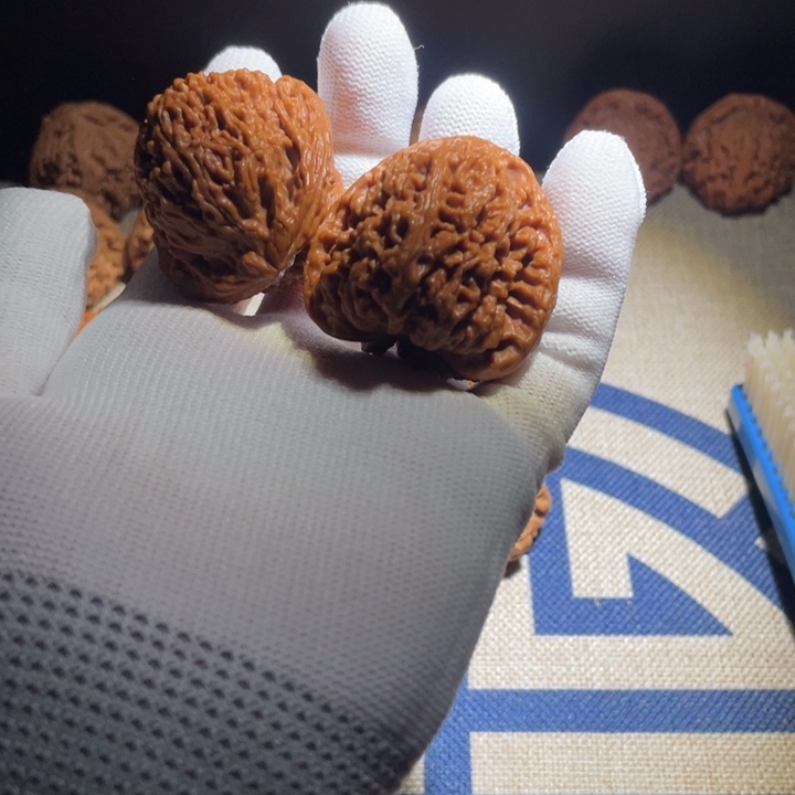 涿鹿南疆石已打底