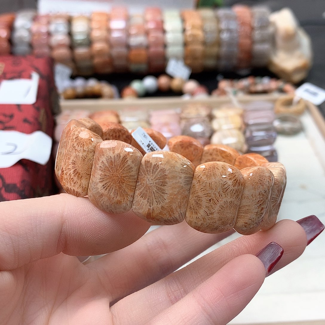 硅化珊瑚（珊瑚玉）手链未镶嵌波****0260