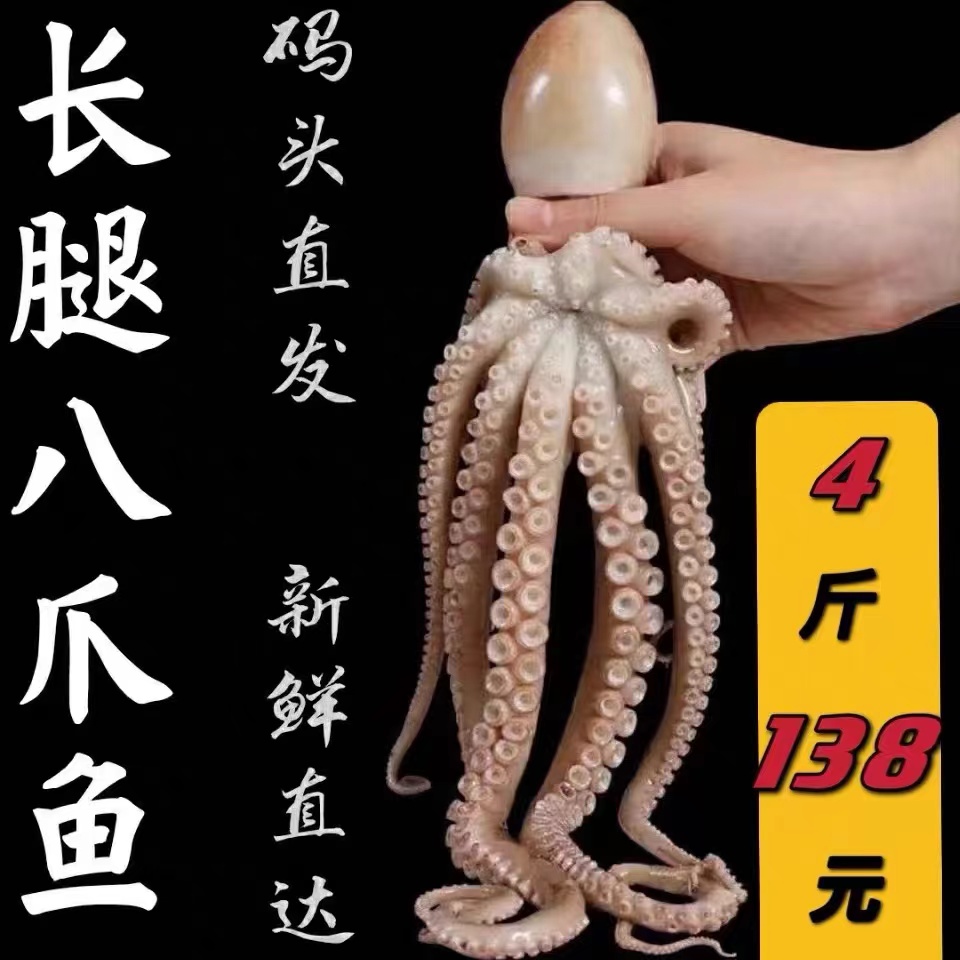 大号冷冻长腿八爪鱼4斤8斤
