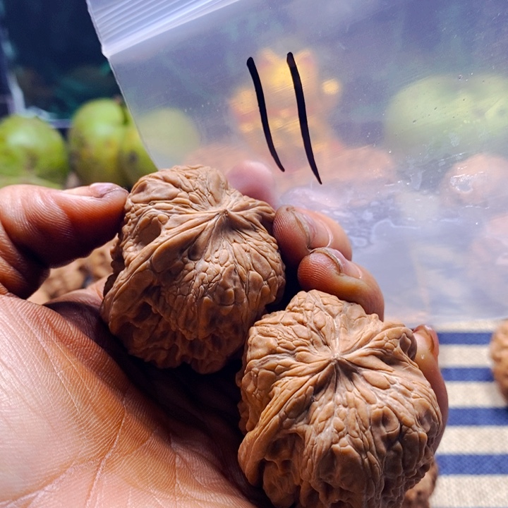 把件文玩核桃闷墩