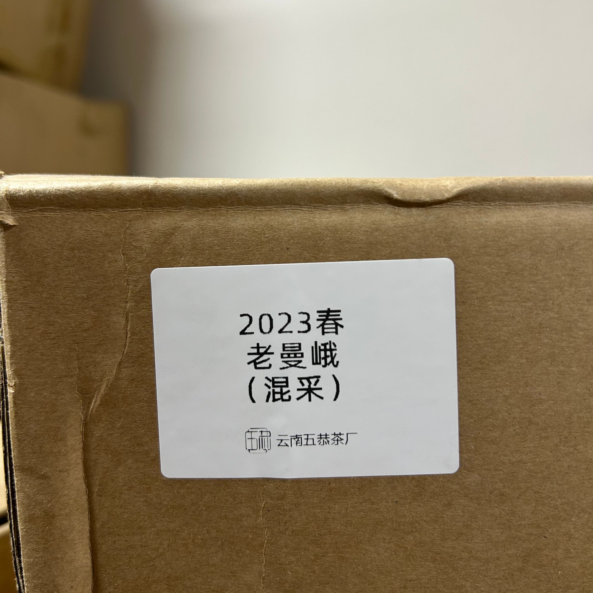 五恭2023春老曼娥混采勐海茶区苦甜茶气十足50克散茶袋装