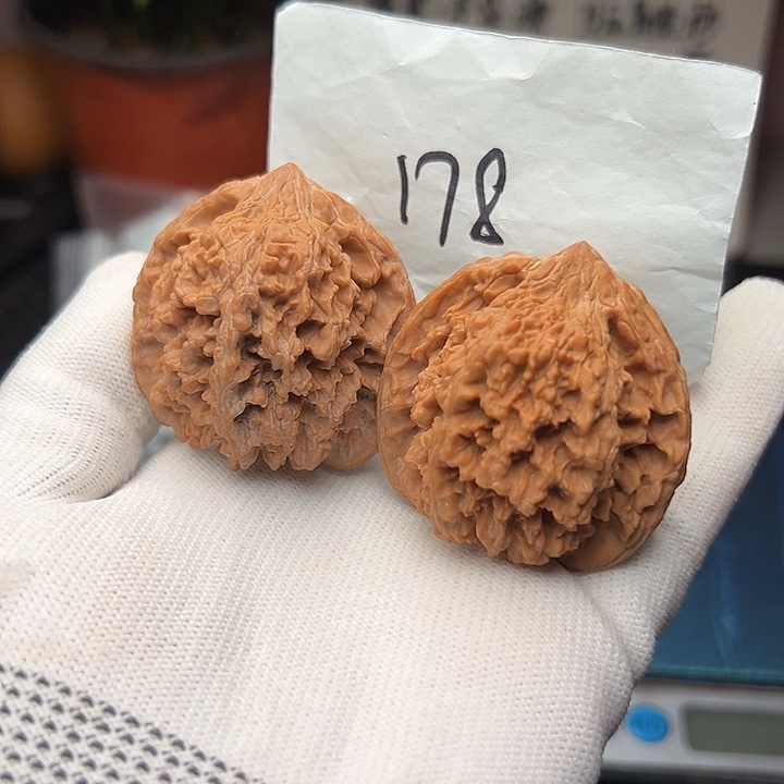 国***茂文玩核桃吊坠43尺寸满天星