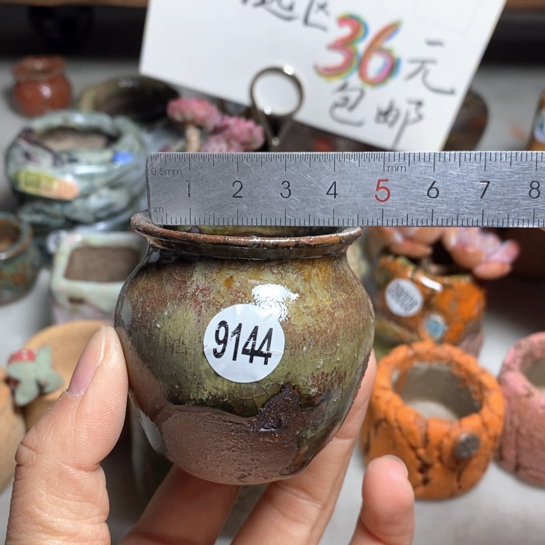 花盆拍5送一个小礼物