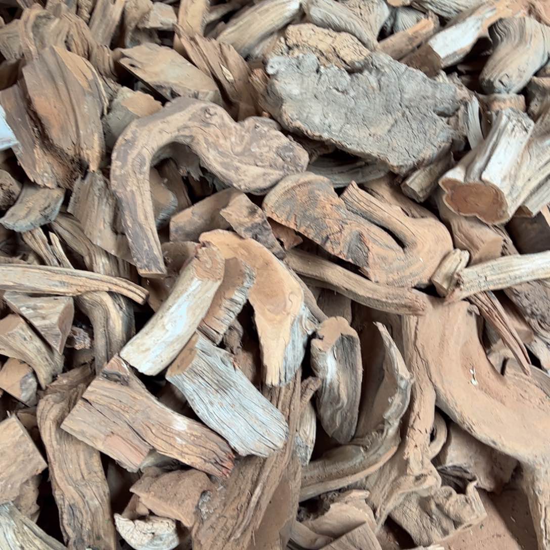 柏木（崖柏）太行崖柏陈化太行