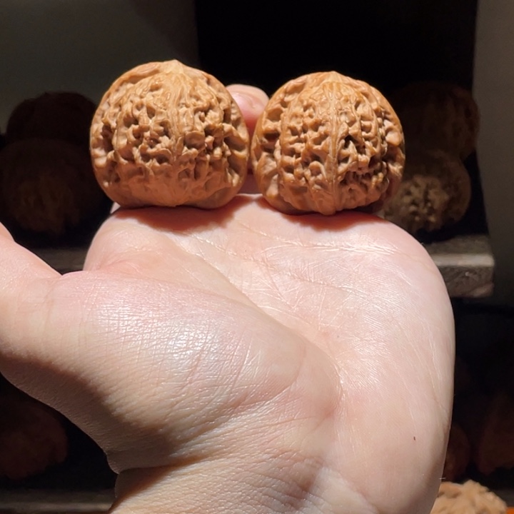 把件文玩核桃41全品头货团龙