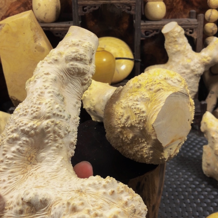 木马****2木料木料木料无聊