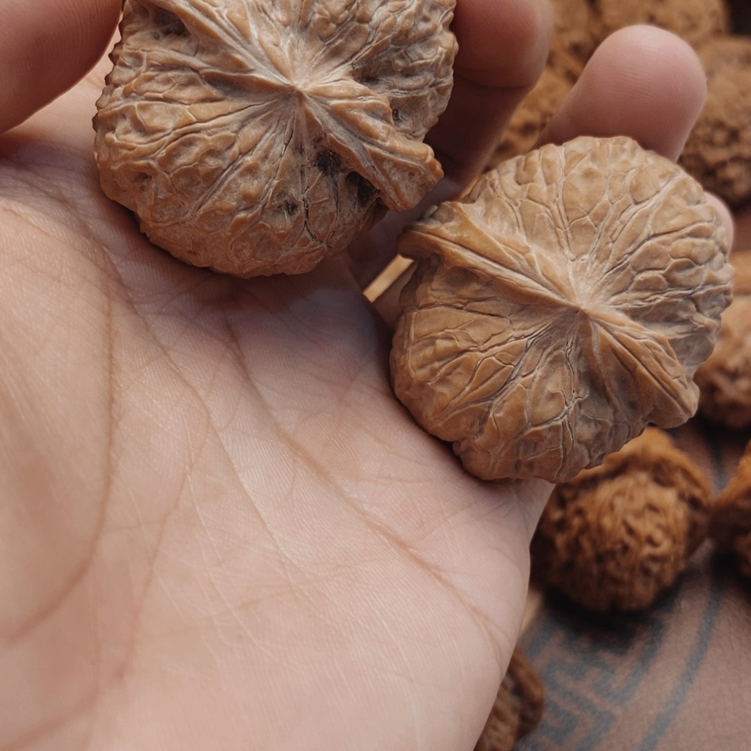 弓***张文玩核桃把件南瓜墩