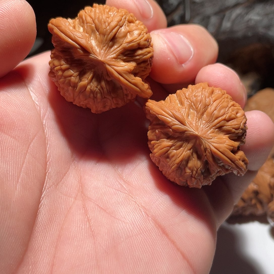 练*37复刻磨盘核桃核桃核桃