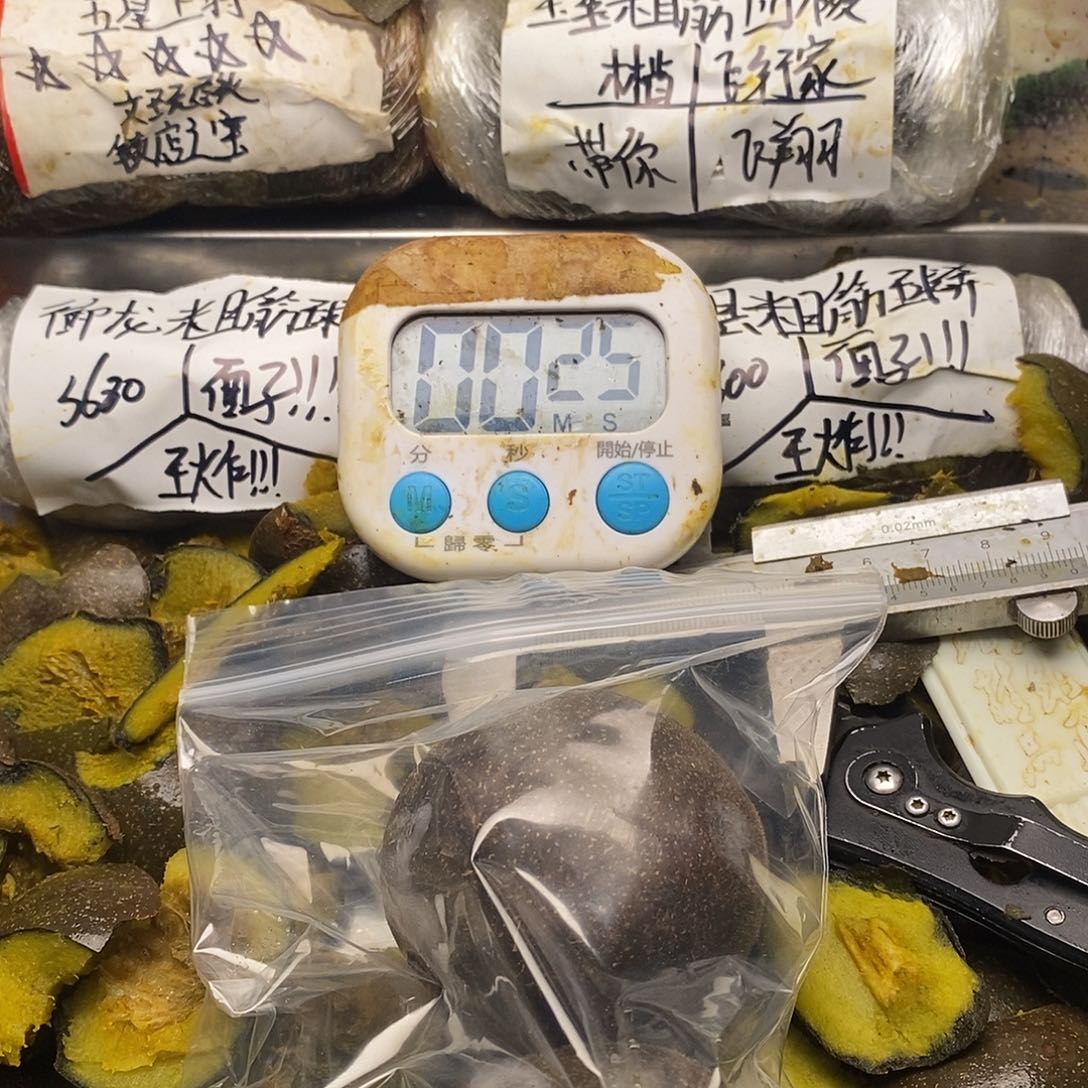 王***泵感觉就把你奶奶不能接