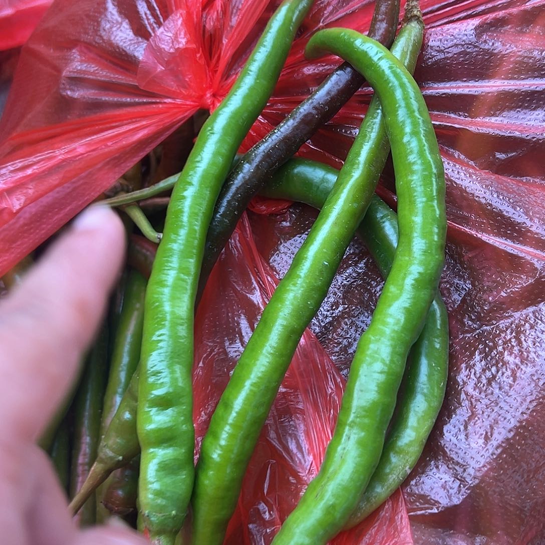 中国大陆新鲜辣椒3斤