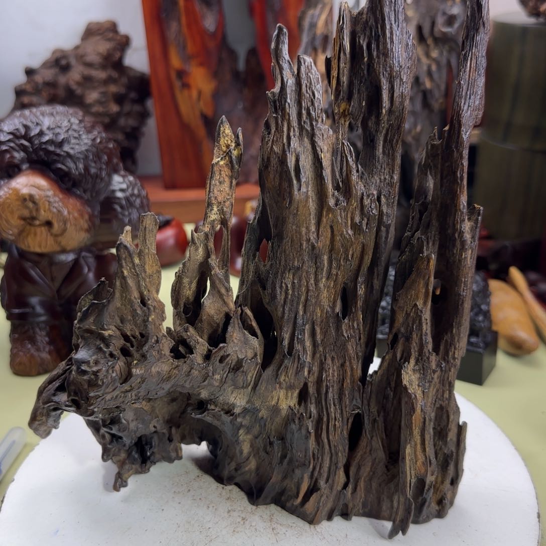 大果紫檀（缅甸花梨）用****1