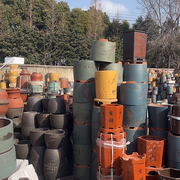 紫砂紫砂花盆盆栽