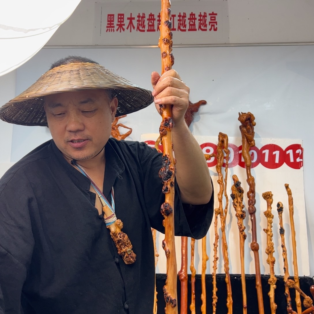 锐***捷其他黑果木黑果木176