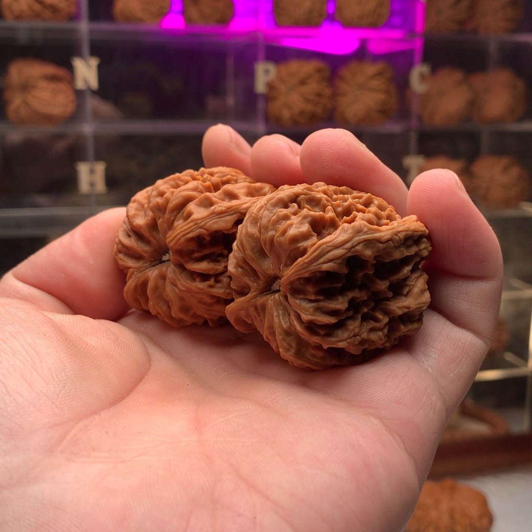 开***囡吊坠文玩核桃南疆石666888