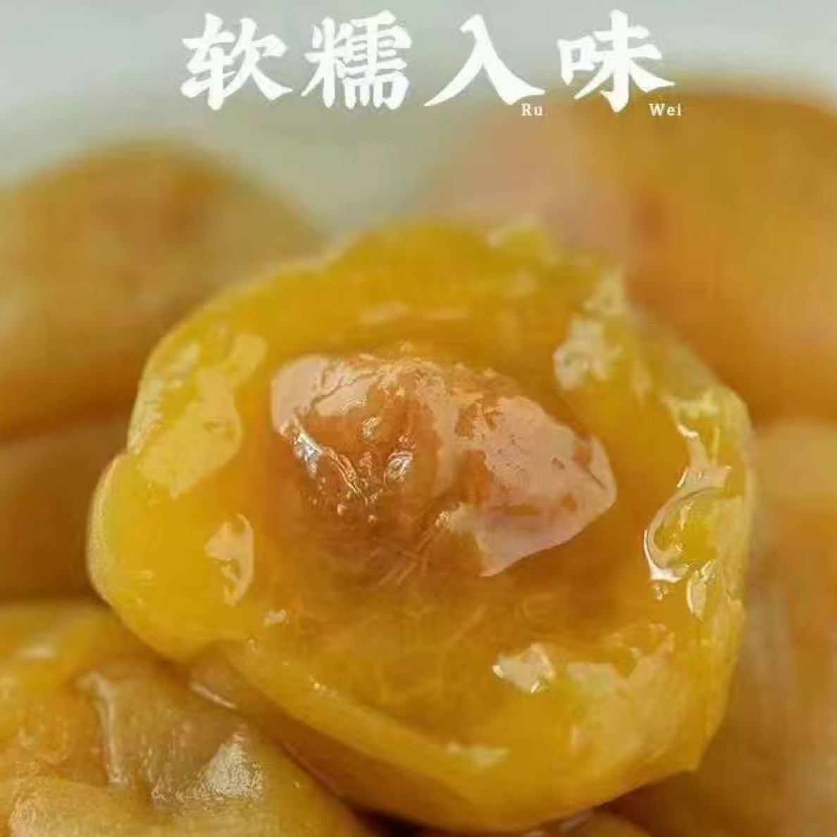 陆丰甲子特产盐腌一年咸梅适合泡水蒸鱼煮鱼