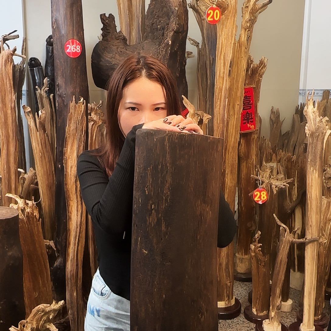 沉香木摆件天然沉香原木摆件➕底座