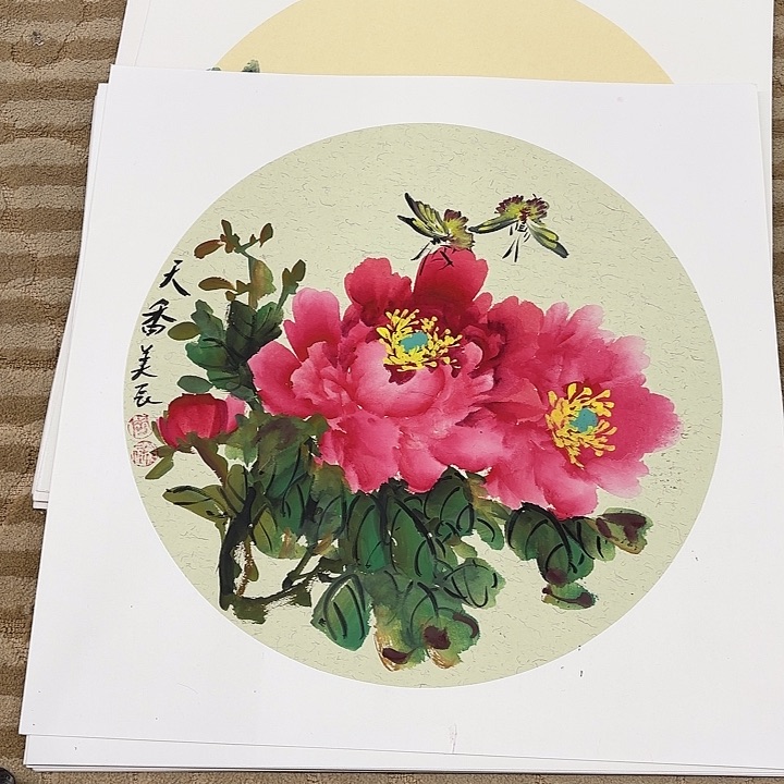 国画花鸟的翅膀和翅膀50.50