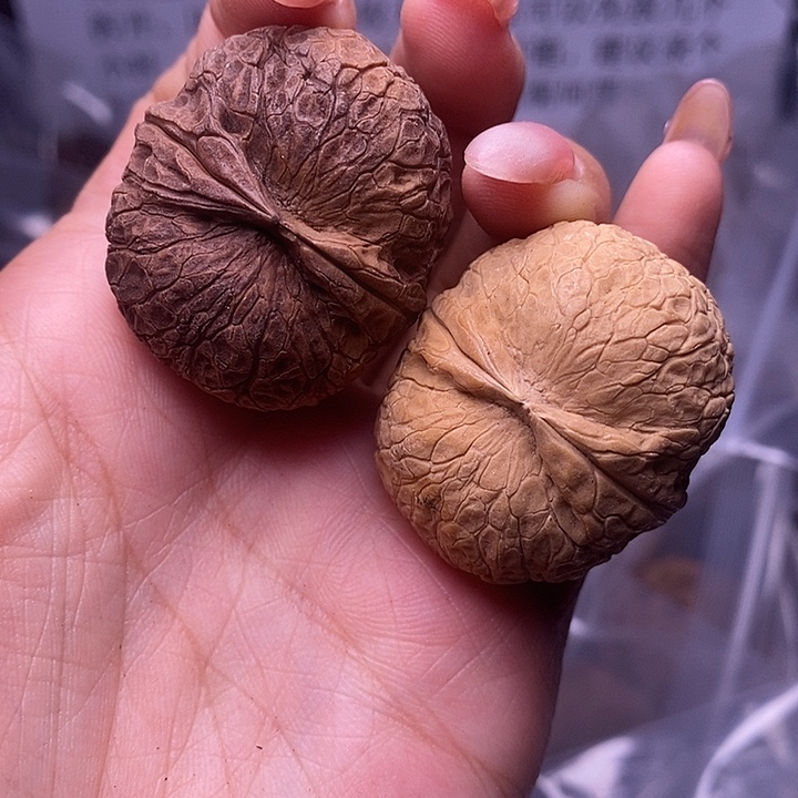 核桃云南野生铁核桃19号36mm