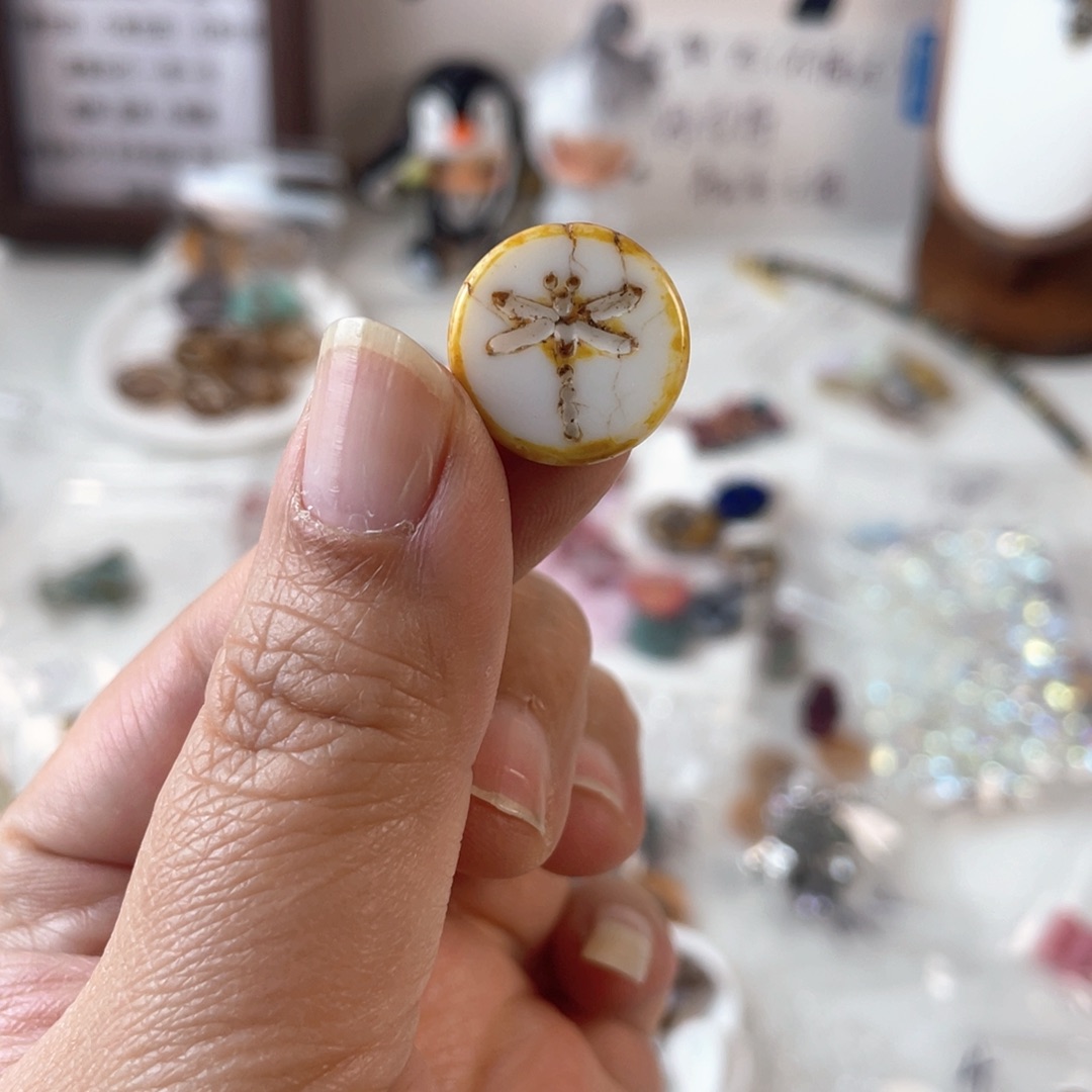 塑料贫血蜻蜓牌牌