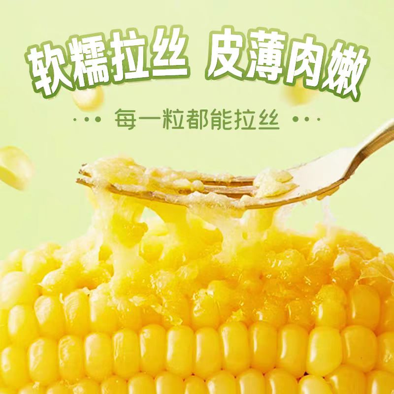 【包小二】2025头茬软糯香甜粘苞米低脂代餐瘦身减脂餐玉米