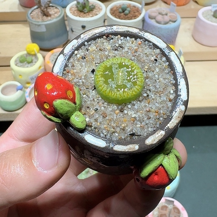 红陶蘑菇325绿光阳