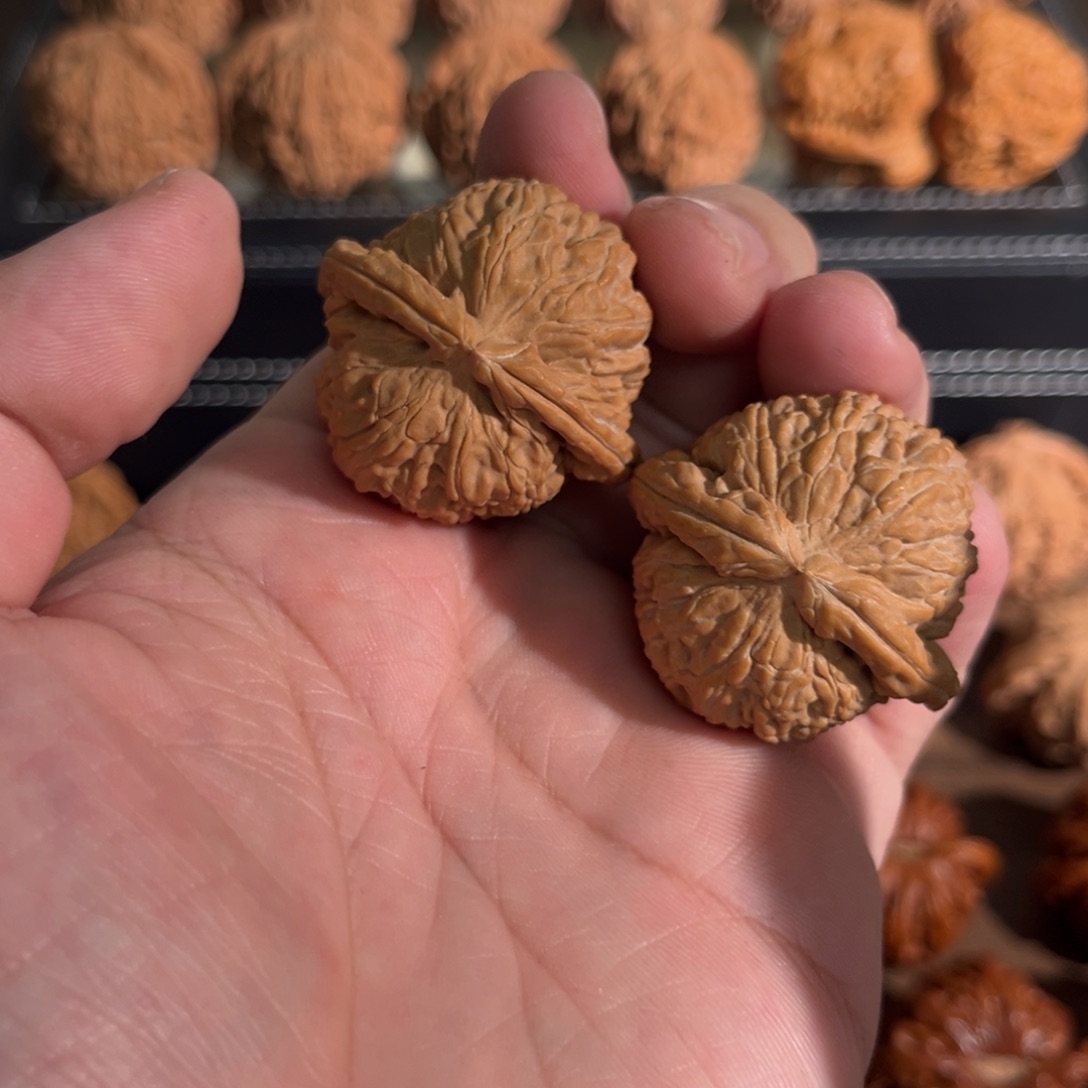 把件核桃免*涉38全品球白