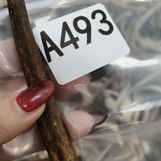 玄***）鹿角鹿角鹿角鹿角鹿角鹿角