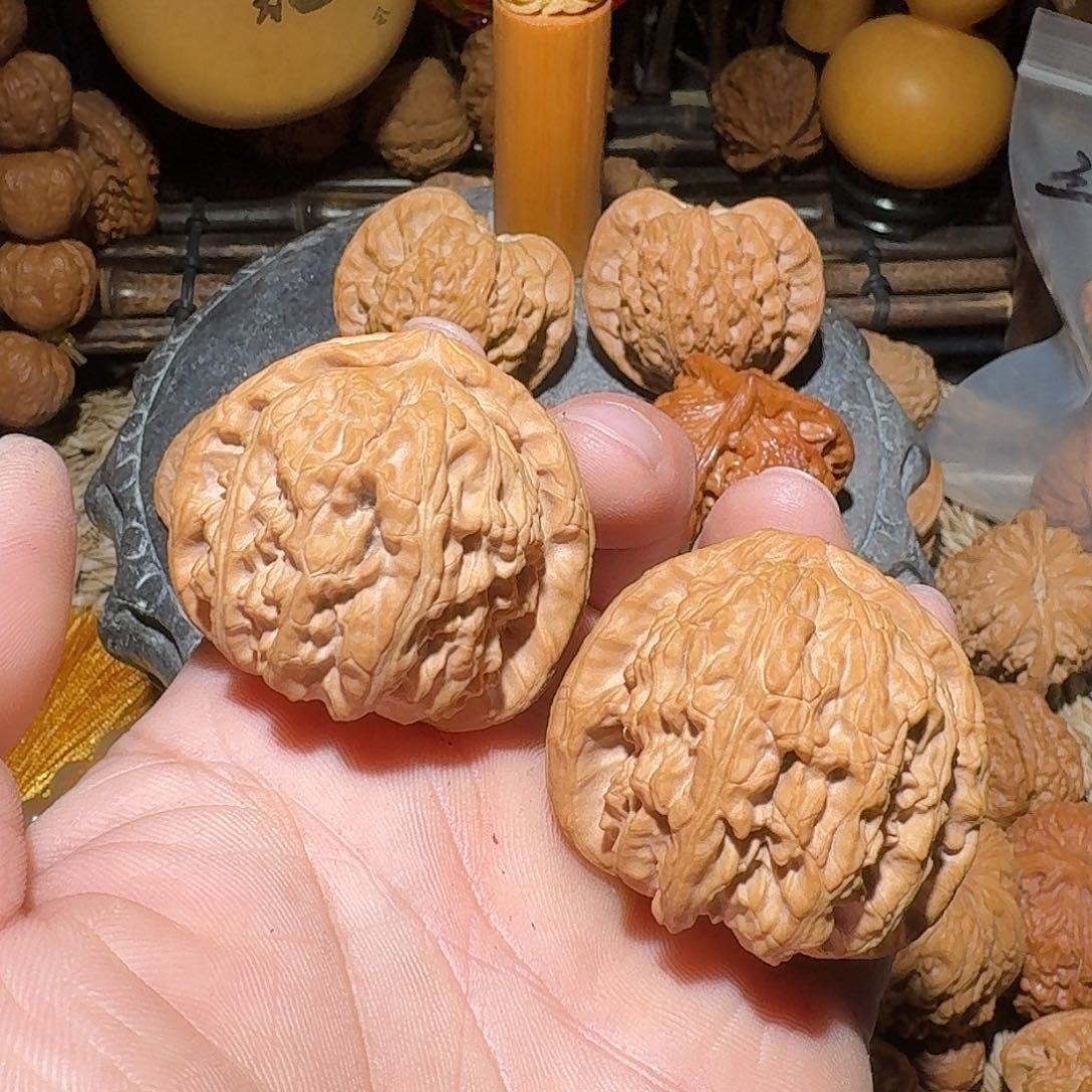 核桃全品42尺山地三角白