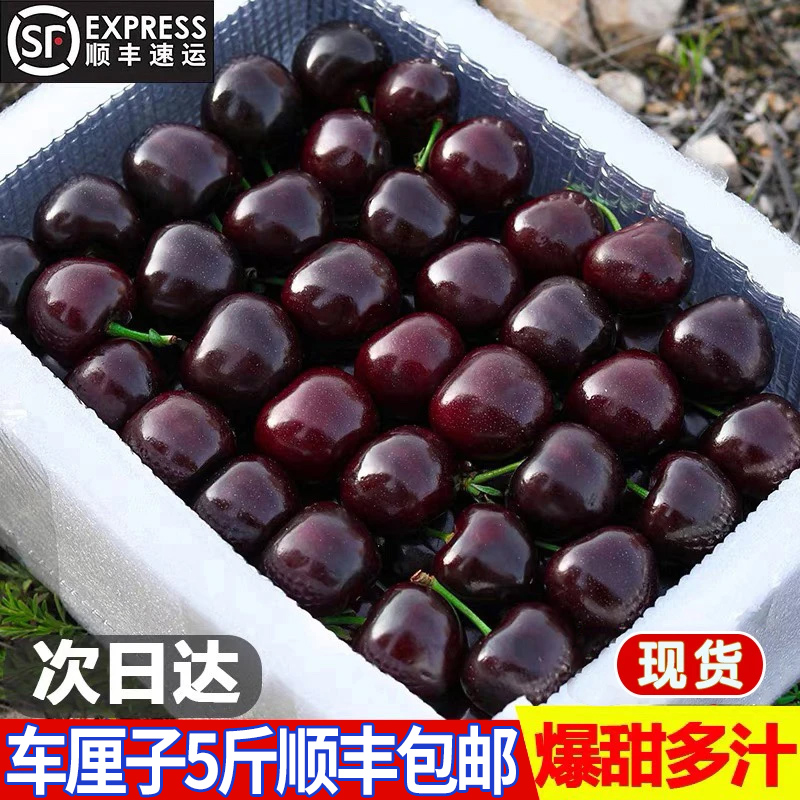 顺丰海运智利车厘子进口大樱桃J-5JJJJ新鲜水果礼盒装内附果径卡
