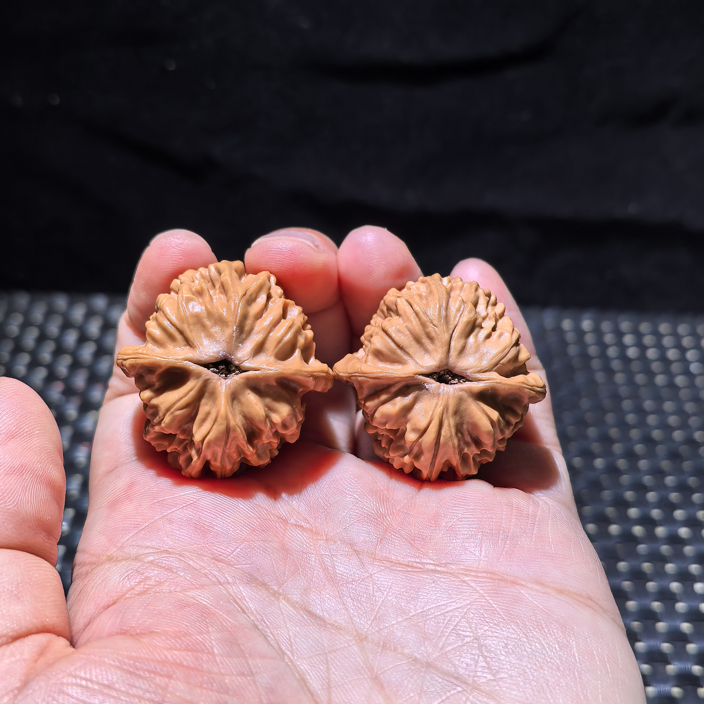 天地狮子头，全品无修，边肚高35/35/33精配对#605