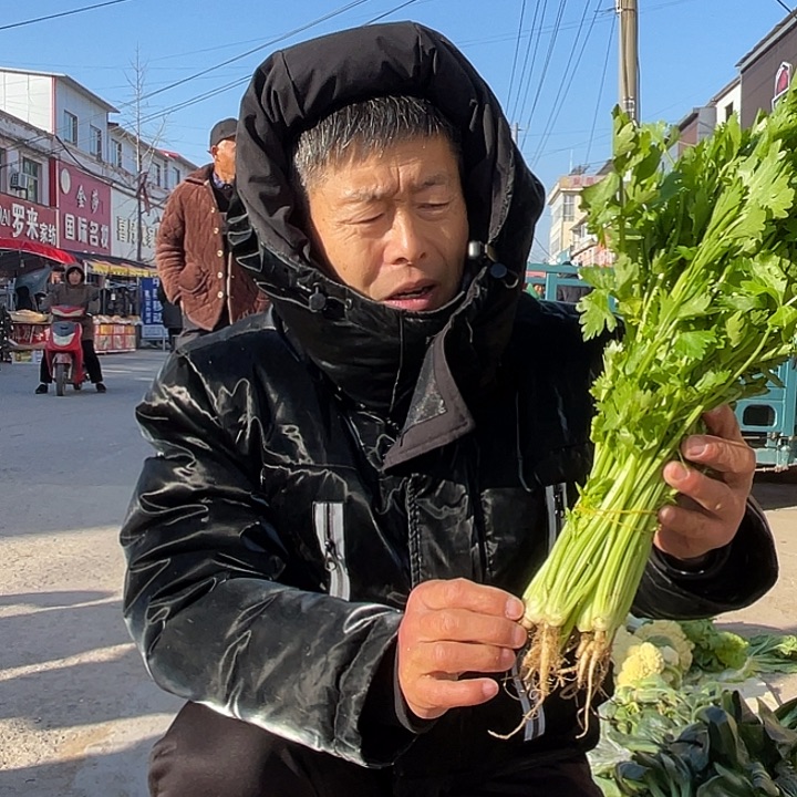 中国大陆农家芹菜三斤