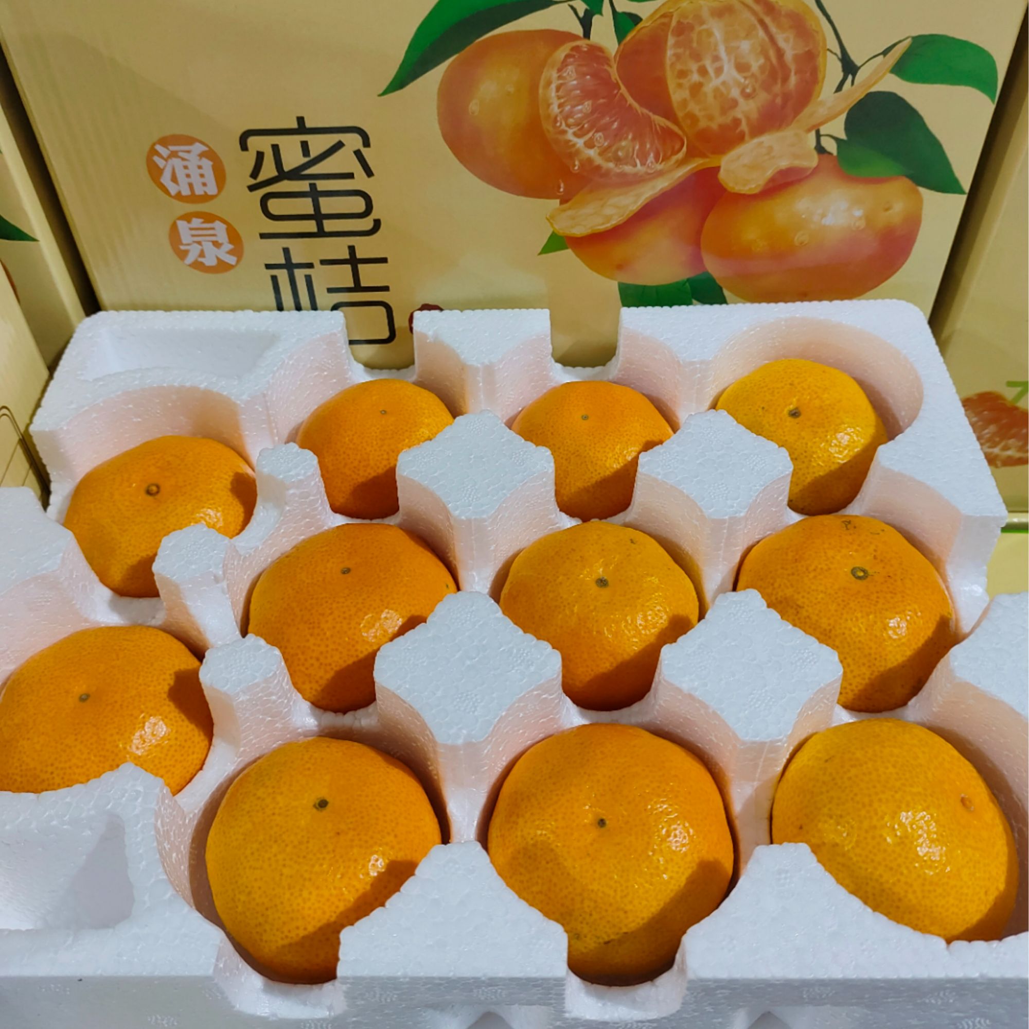 顺丰上门【精选送礼颗粒装】正宗临海涌泉蜜桔5斤 无核橘子 新鲜采摘浙江省