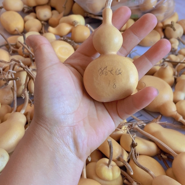 猫***侠猫大侠恭喜发财财