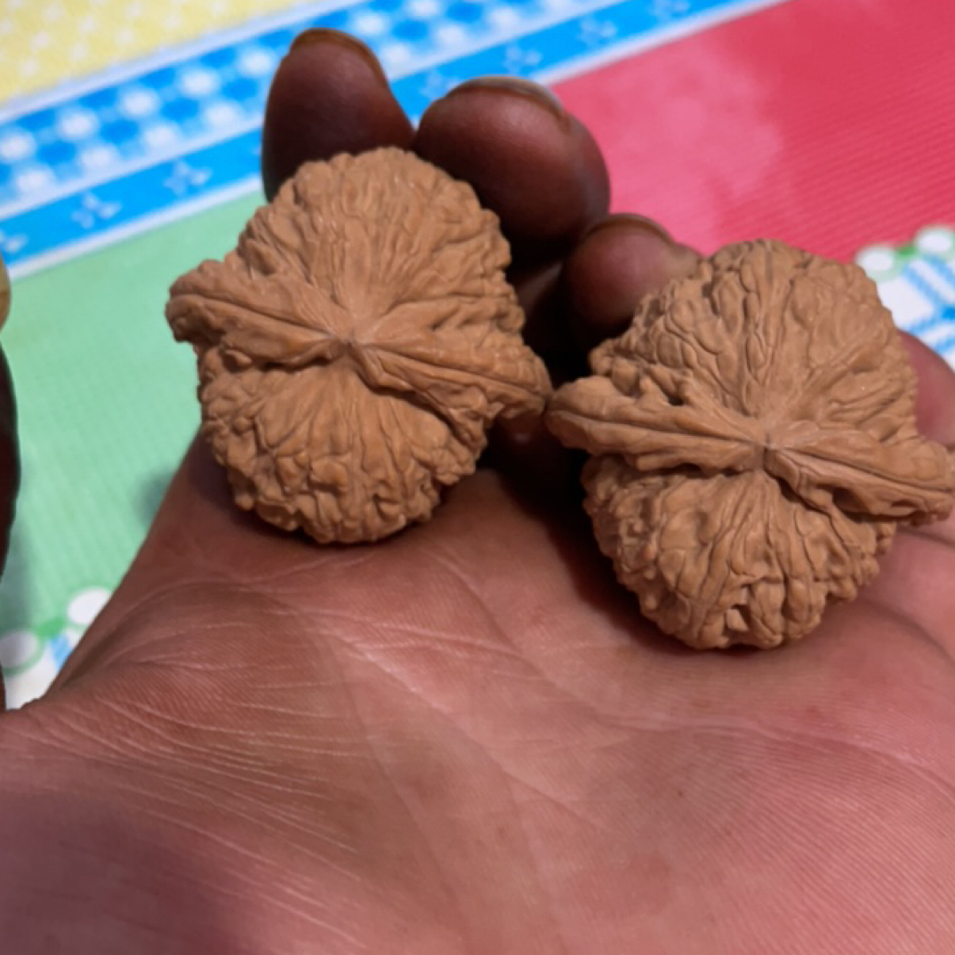 白狮子山地果文玩核桃