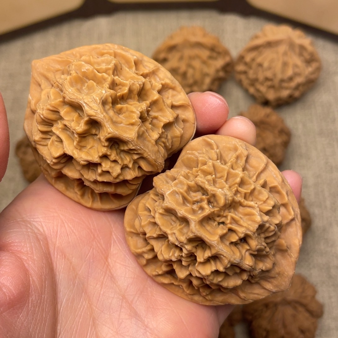 勿***心核桃秦岭核桃15号