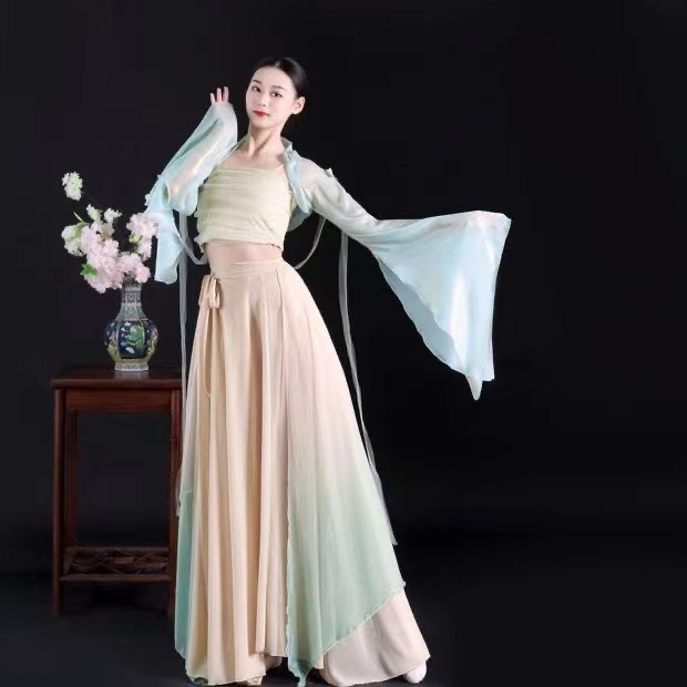 森屿无艺之艺一朵大左同款仙气古典舞服古风鎏金袖衫360度大摆